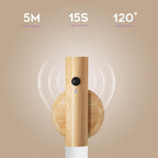 Induction Lamp Light